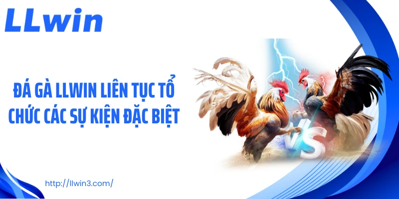 Đá gà LLWIN liên tục tổ chức các sự kiện đặc biệt