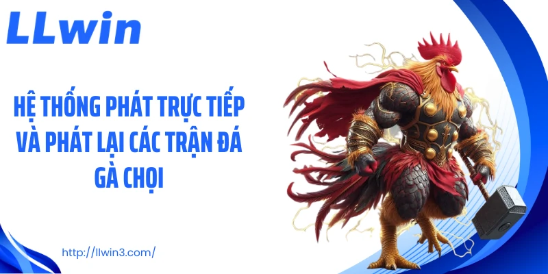 Hệ thống phát trực tiếp và phát lại các trận đá gà chọi